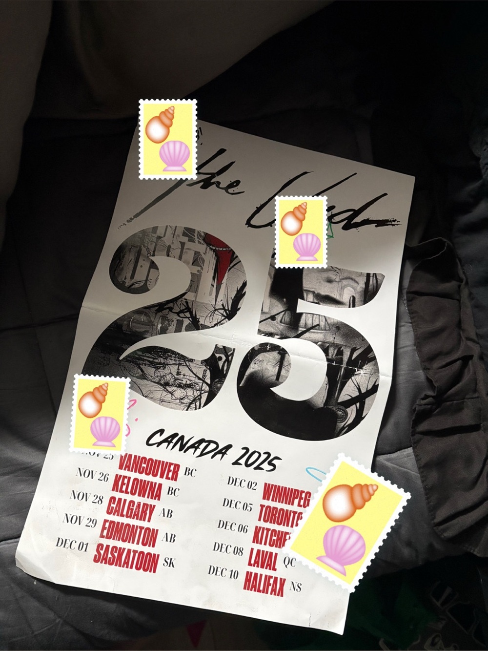 The used signed poster and VIP merch